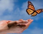 The Secret of Gratitude