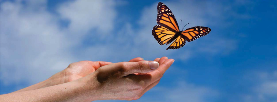 Integrative Cancer Care