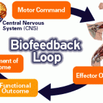 Biofeedback