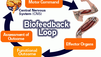 Biofeedback